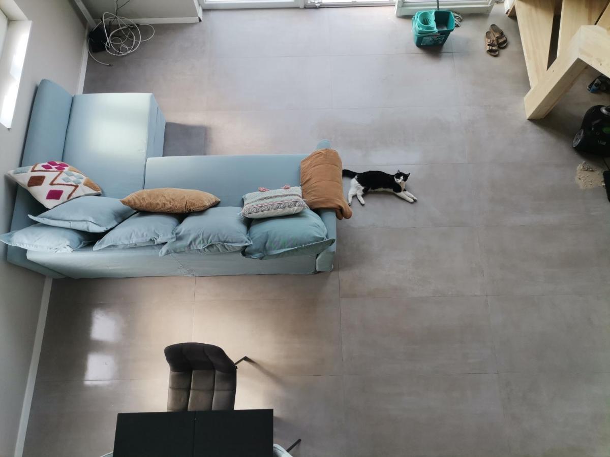 Vadvirag Vendeghaz Villa Zamárdi Dış mekan fotoğraf