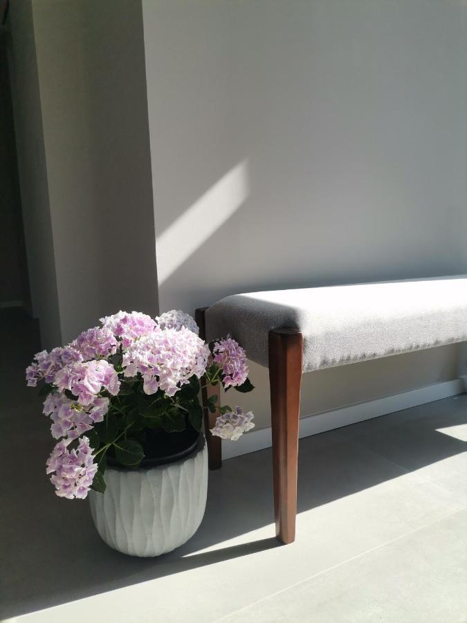Vadvirag Vendeghaz Villa Zamárdi Dış mekan fotoğraf